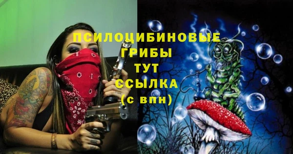 ПСИЛОЦИБИНОВЫЕ ГРИБЫ Алексин