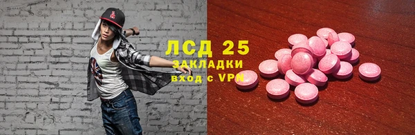 ПСИЛОЦИБИНОВЫЕ ГРИБЫ Алексин