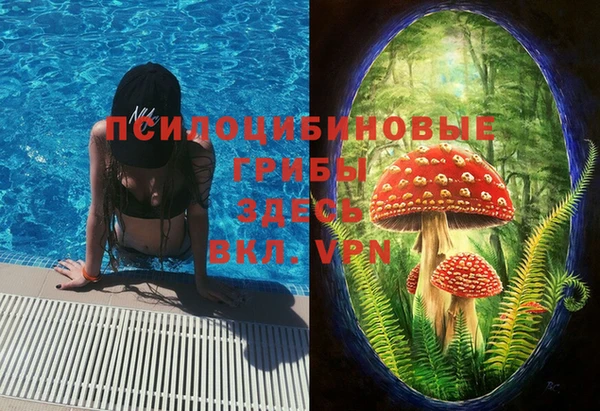 мескалин Арсеньев